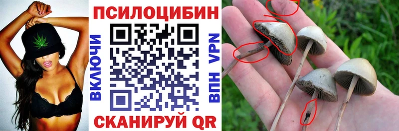 Псилоцибиновые грибы GOLDEN TEACHER  Купить закладки  Волосово 