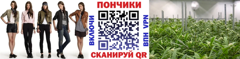Бошки марихуана LSD WEED  Купить закладки  Волосово 